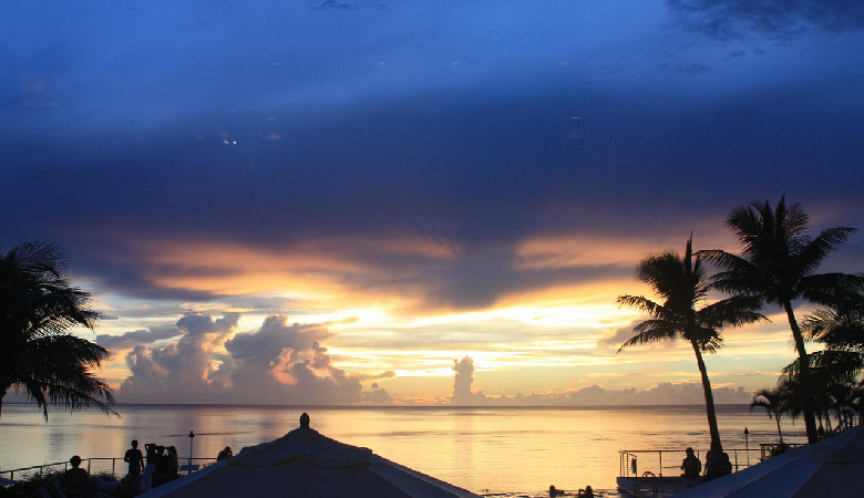 Dobra wiadomość: na atolu Palmyra odtworzono wymarły gatunek