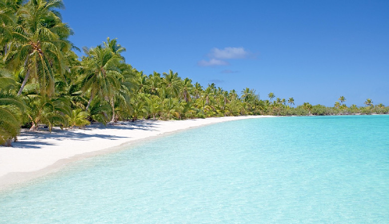 Tuvalu wytępiło inwazyjne gatunki