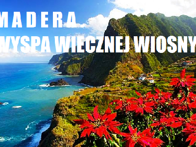Madera. W poszukiwaniu wielorybów.