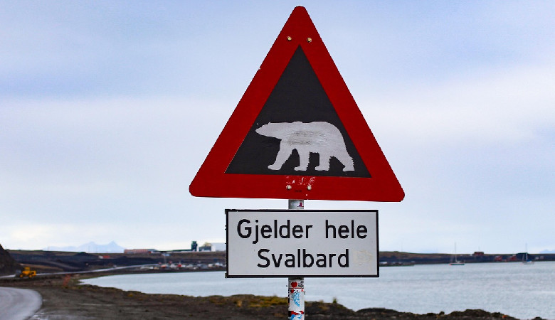 Chcecie popłynąć Zaruskim na Spitsbergen?